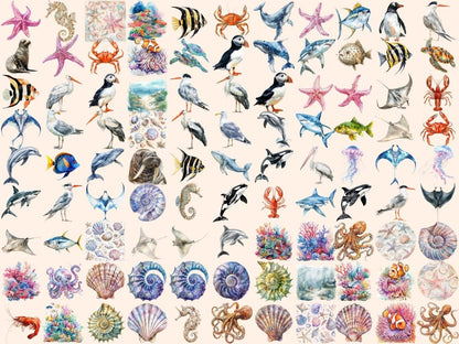 Sea Life Watercolor Clipart Aquatic Animals - Wonders Artist