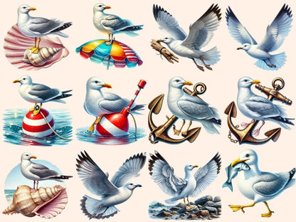 Seagulls Clipart Beach Bird Art - Wonders Artist
