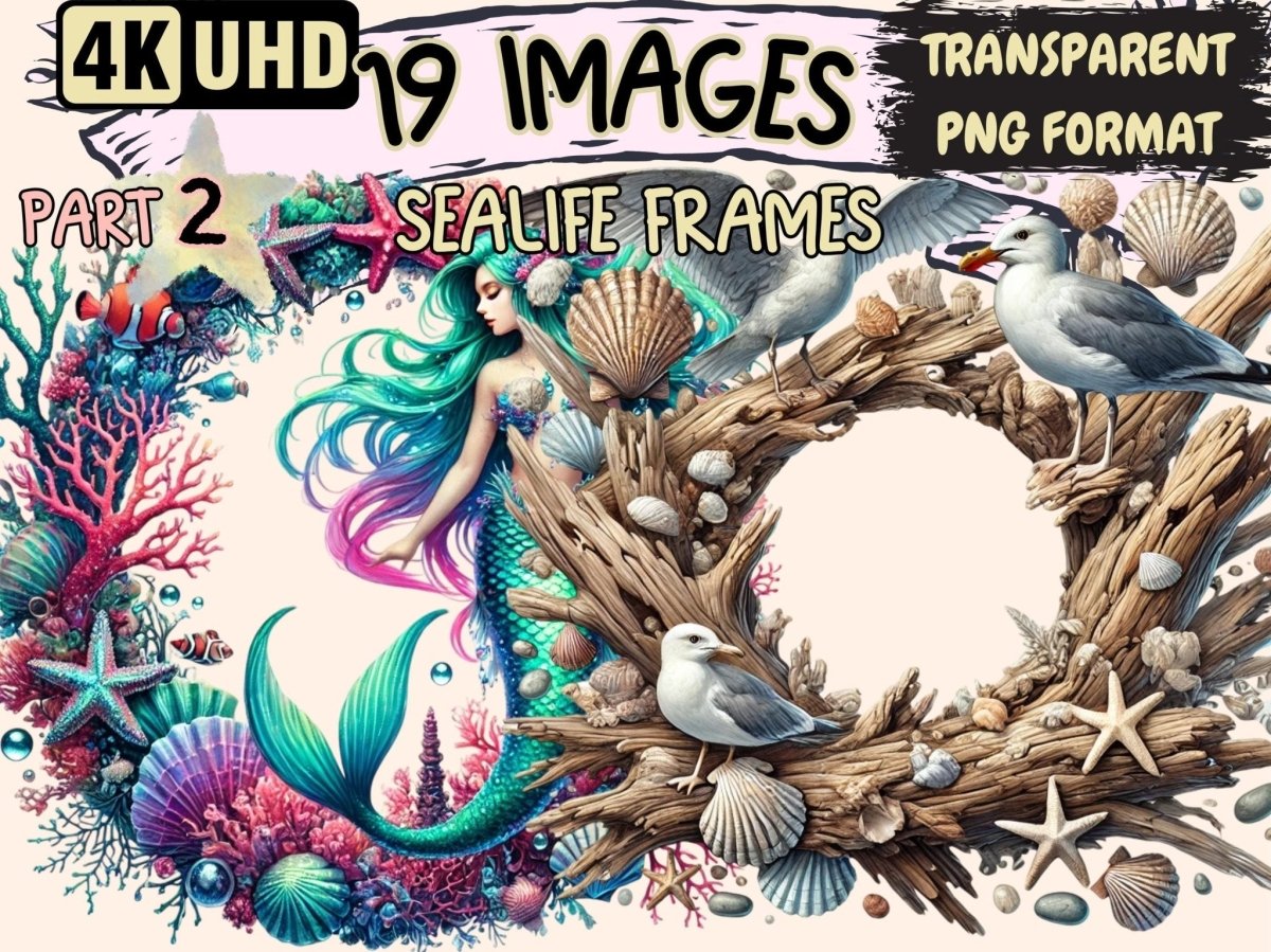 Sealife Frames (P2) Clipart Aquatic Frame PNG - Wonders Artist