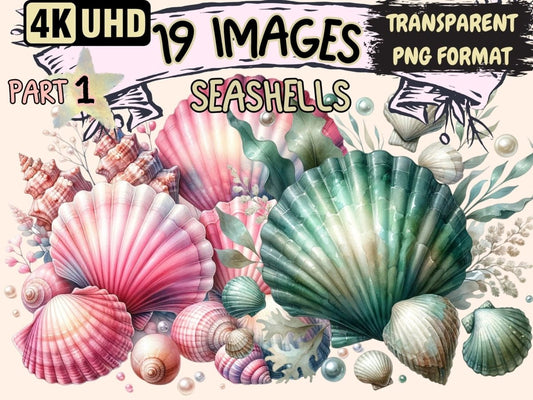 Seashells Clipart Cute seashell art - Wonders Artist