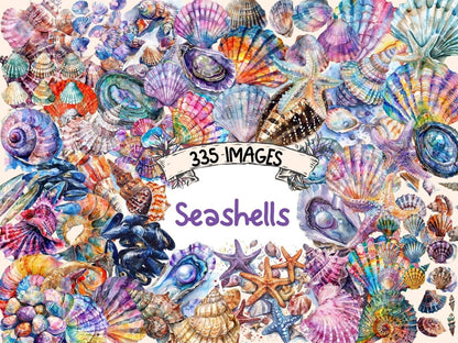 Seashells Watercolor Clipart beach clipart - Wonders Artist
