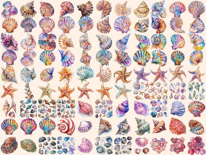 Seashells Watercolor Clipart beach clipart - Wonders Artist