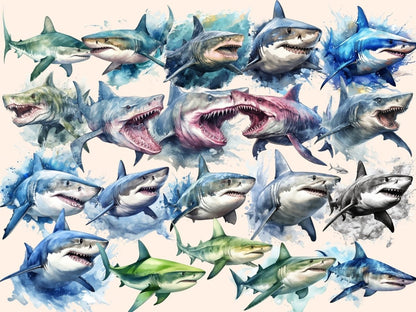Sharks Watercolor Clipart baby shark clipart - Wonders Artist