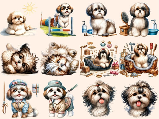 Shih Tzu (P2) Clipart