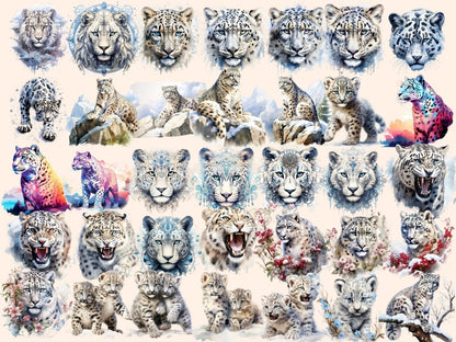 Snow Leopards Watercolor Clipart arctic animals - Wonders Artist