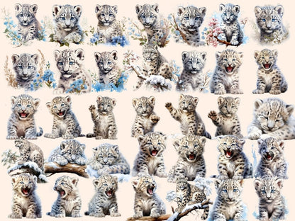 Snow Leopards Watercolor Clipart arctic animals - Wonders Artist