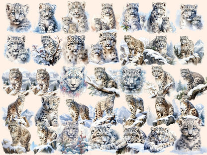 Snow Leopards Watercolor Clipart arctic animals - Wonders Artist