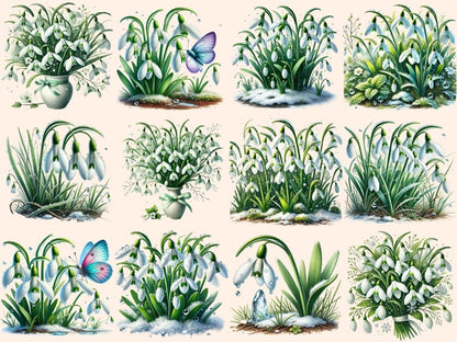 Snowdrops Clipart Botanical Snowdrops - Wonders Artist