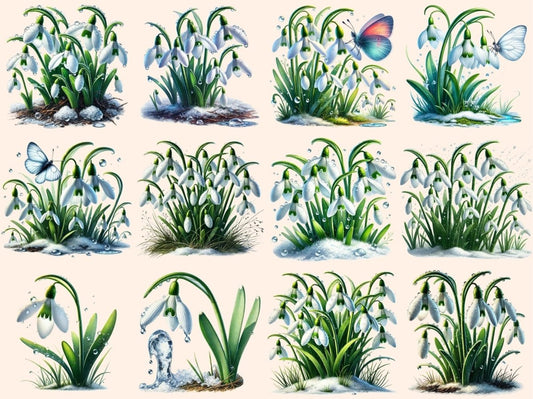 Vintergækker Clipart