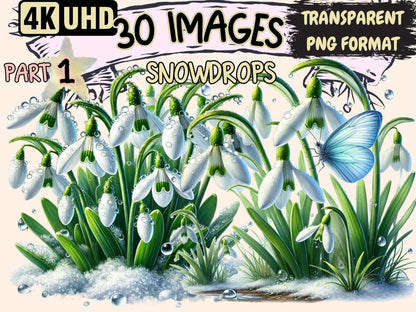 Snowdrops Clipart Botanical Snowdrops - Wonders Artist