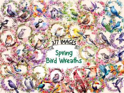 Spring Bird Wreaths Watercolor Clipart beautiful bird png - Wonders Artist