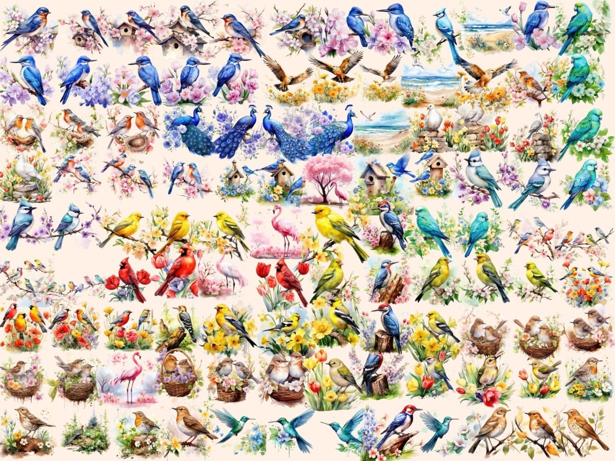 Spring Birds Watercolor Clipart bird clipart - Wonders Artist