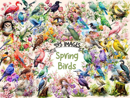 Spring Birds Watercolor Clipart bird clipart - Wonders Artist