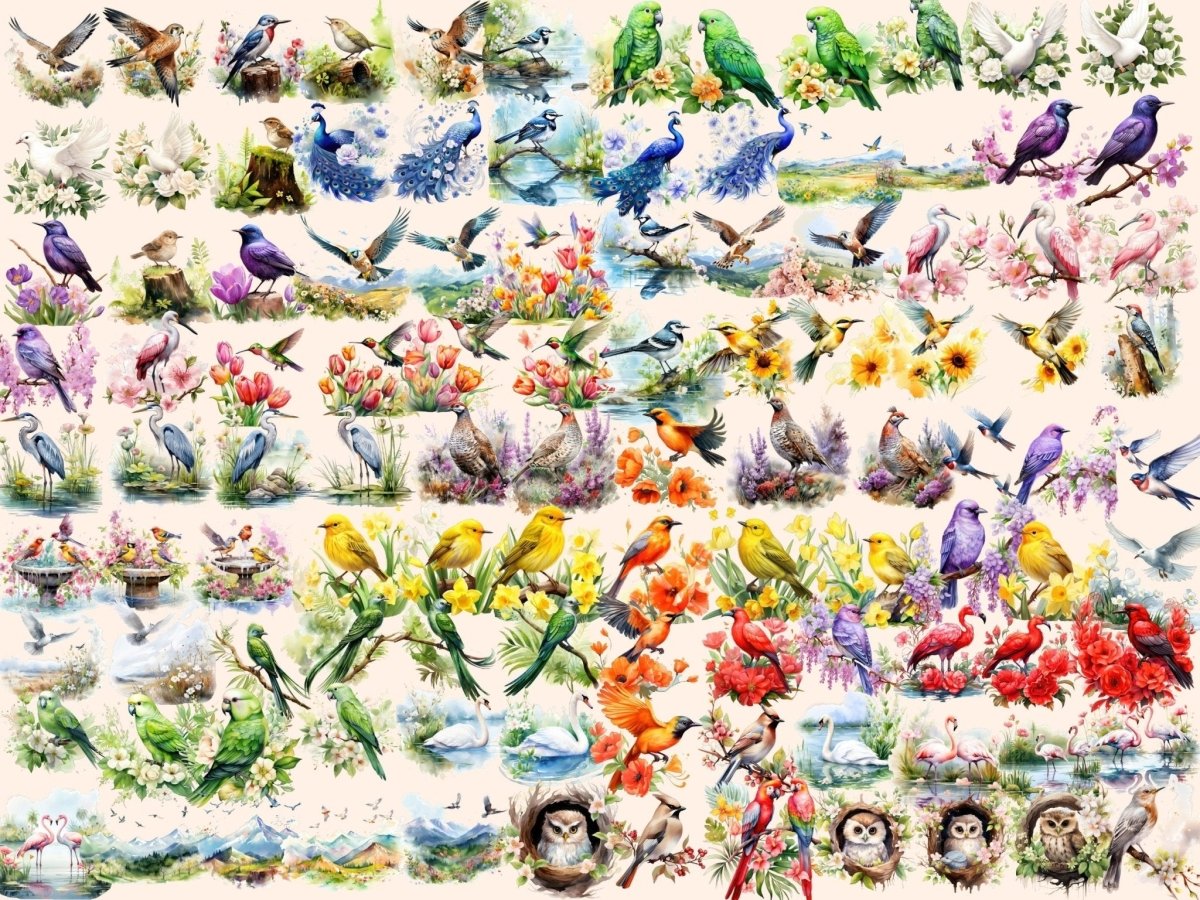 Spring Birds Watercolor Clipart bird clipart - Wonders Artist