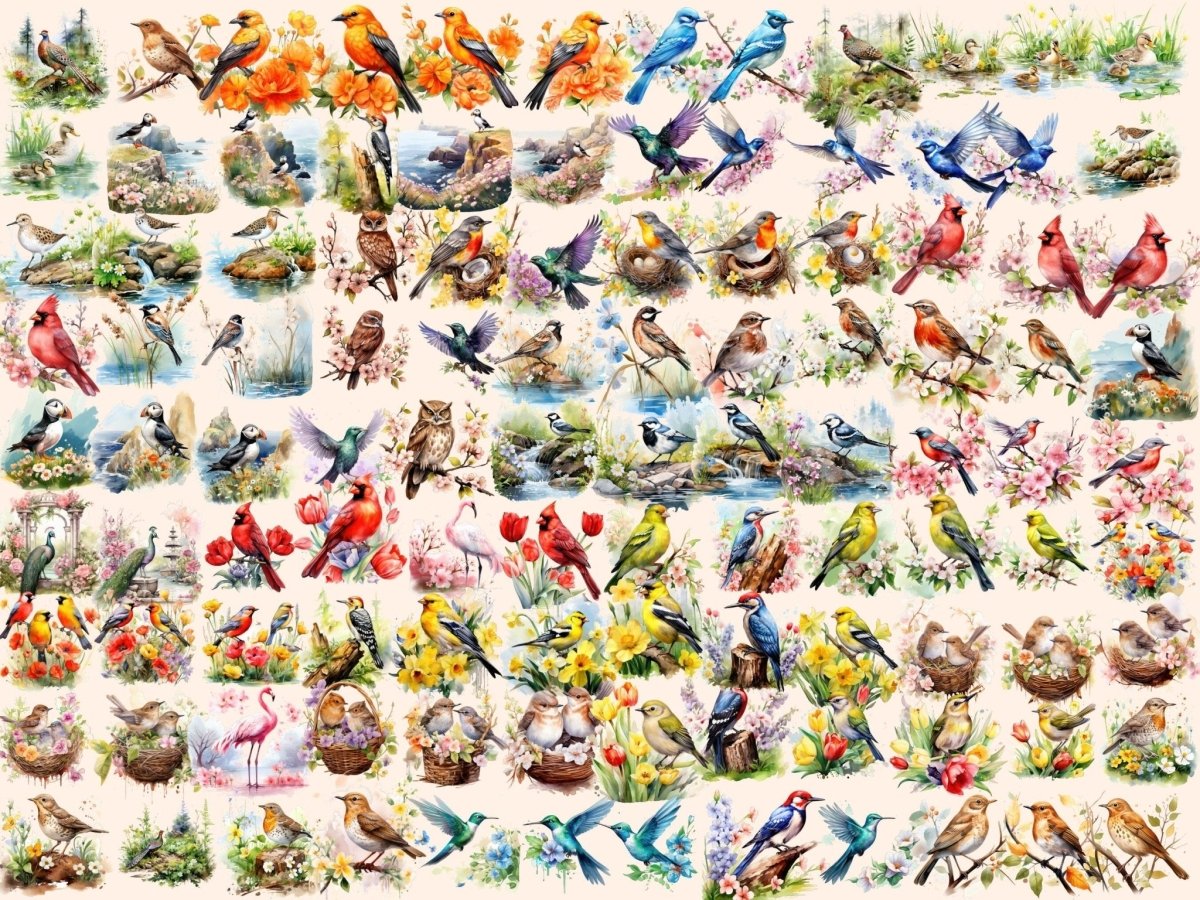 Spring Birds Watercolor Clipart bird clipart - Wonders Artist