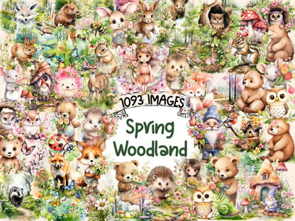 Spring Woodland Watercolor Clipart forest clipart - Wonders Artist