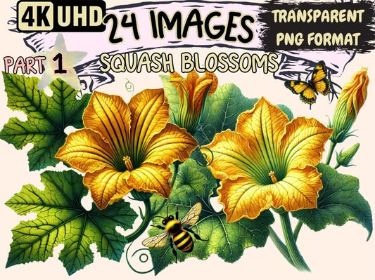 Squash Blossoms Clipart Blooming Squash Clip - Wonders Artist