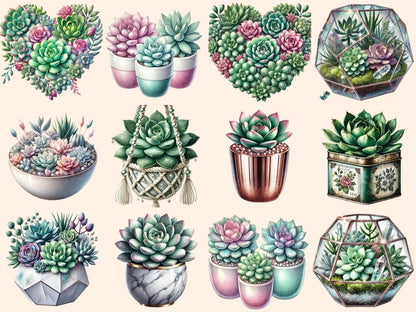Succulents Clipart Botanical Clipart - Wonders Artist