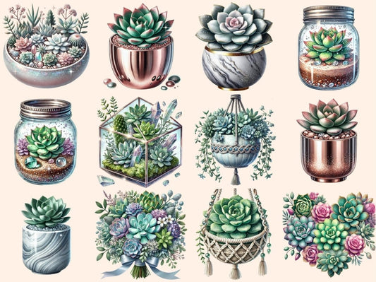 Sukkulenter (P2) Clipart