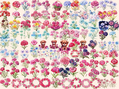 Sweet William Flowers Watercolor Clipart floral clipart - Wonders Artist