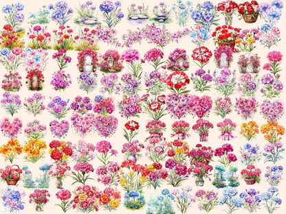 Sweet William Flowers Watercolor Clipart floral clipart - Wonders Artist