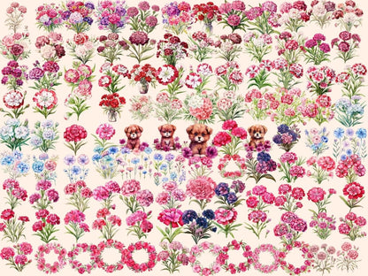 Sweet William Flowers Watercolor Clipart floral clipart - Wonders Artist