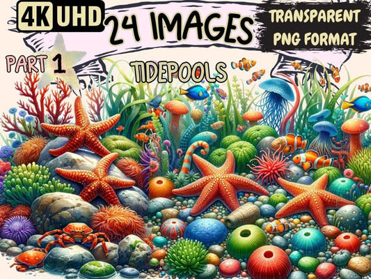 Tidepools Clipart Cute tidepool art - Wonders Artist