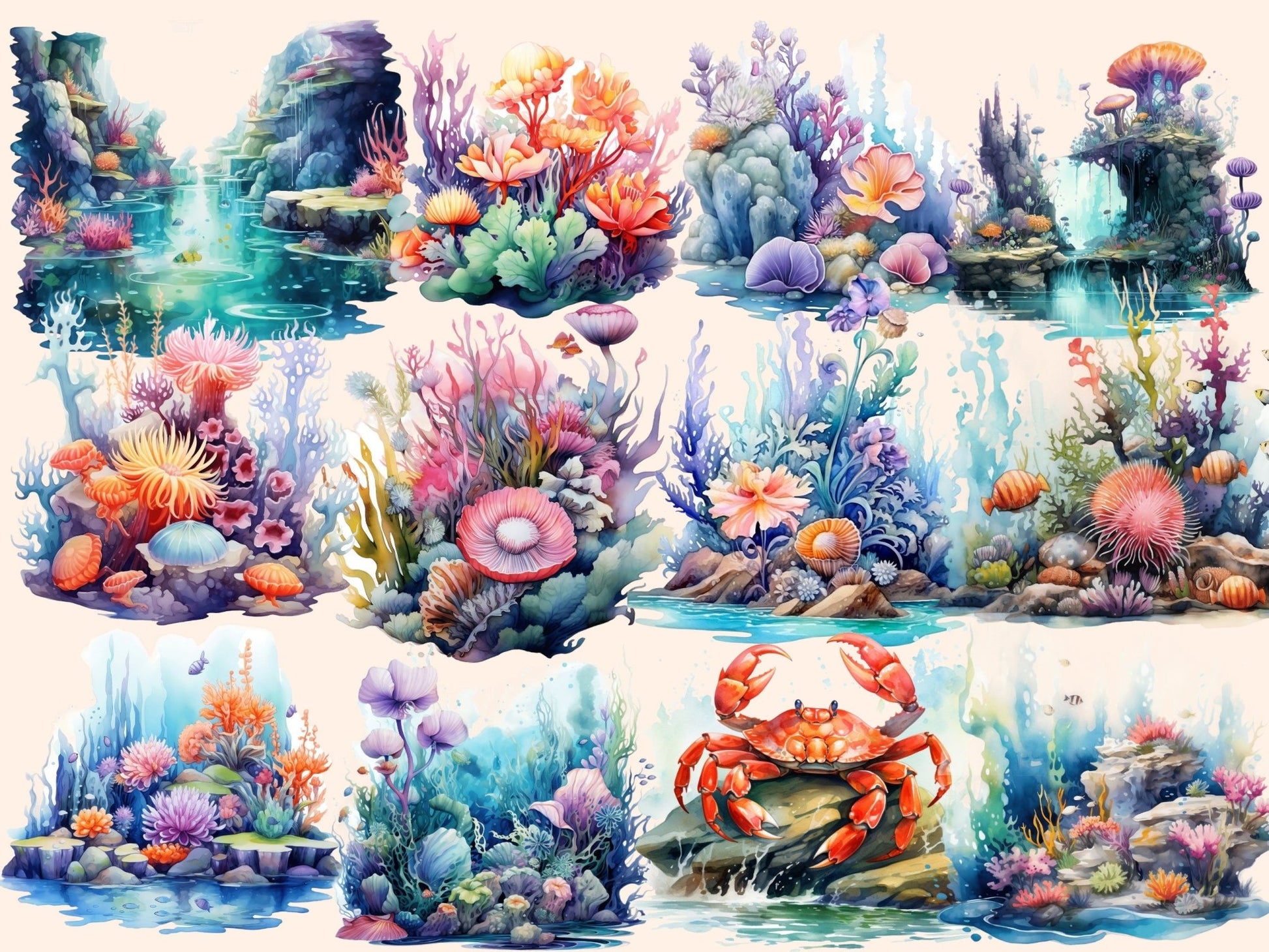 Tidepools Watercolor Clipart - High - Quality Instant Digital Download for Creative Projects