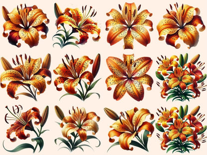 Tiger Lilies Clipart blooming lily art - Wonders Artist