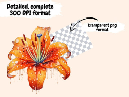 Tiger Lilies Watercolor Clipart exotic flowers - Wonders Artist