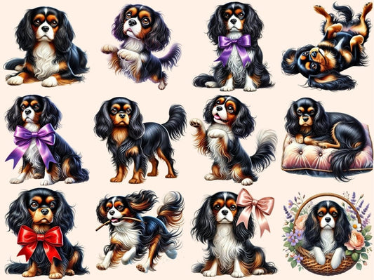 Tricolor Cavalier King Charles Spaniel Clipart