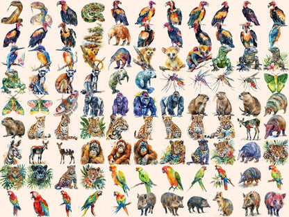 Tropical Animals Watercolor Clipart animals clipart - Wonders Artist