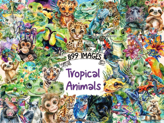 Tropical Animals Watercolor Clipart animals clipart - Wonders Artist