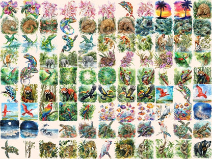 Tropical Animals Watercolor Clipart animals clipart - Wonders Artist