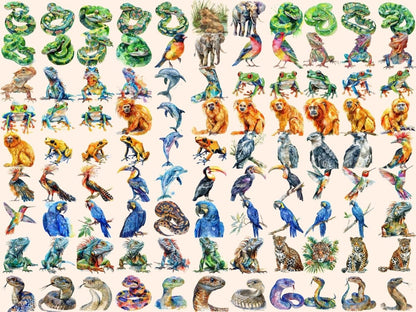 Tropical Animals Watercolor Clipart animals clipart - Wonders Artist