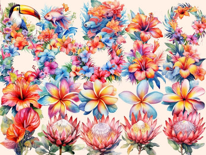 Tropical Flowers Watercolor Clipart exotic flowers png - Wonders Artist