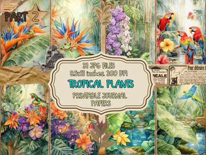 Tropical Plants Journal Pages (P2) exotic ephemera - Wonders Artist