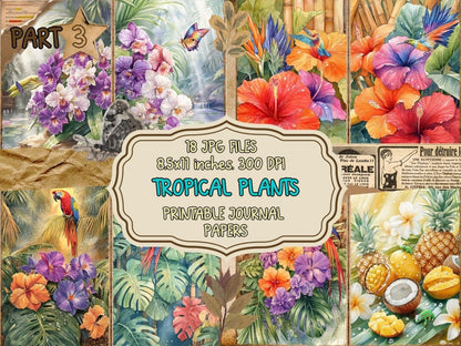 Tropical Plants Journal Pages (P3) exotic ephemera - Wonders Artist
