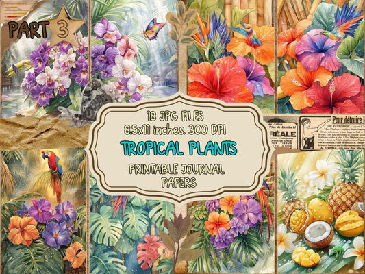 Tropical Plants Journal Pages (P3) exotic ephemera - Wonders Artist