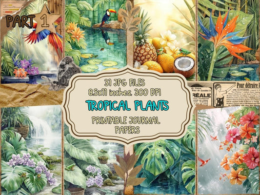 Tropical Plants (P1) exotic ephemera - Wonders Artist