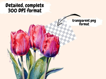 Tulips Watercolor Clipart dutch flower clipart - Wonders Artist