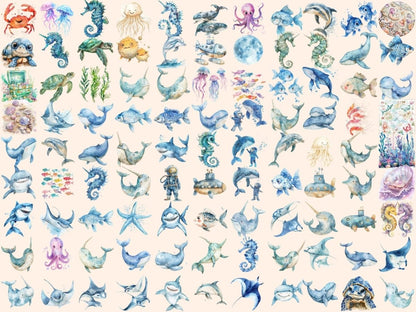 Under the Sea Watercolor Clipart Aquatic Clipart - Wonders Artist