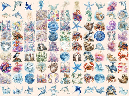 Under the Sea Watercolor Clipart Aquatic Clipart - Wonders Artist