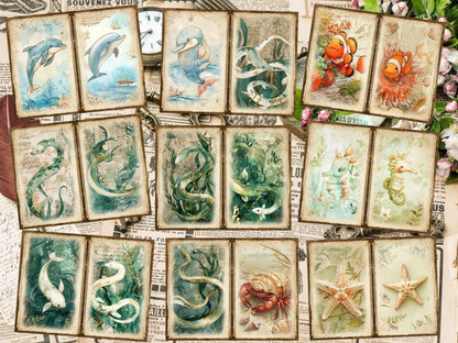 Underwater Animals Journal Pages (P2) Aquatic Scrapbook - Wonders Artist