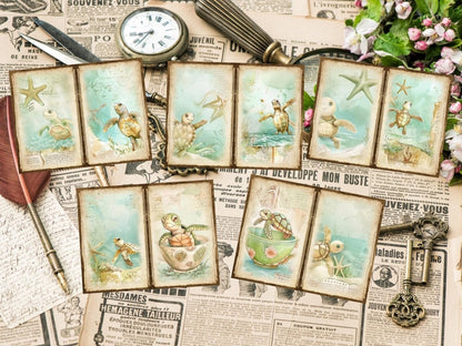 Underwater Animals Journal Pages (P4) Aquatic Scrapbook - Wonders Artist