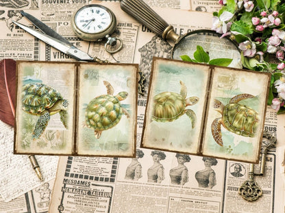 Underwater Animals Journal Pages (P5) Aquatic Scrapbook - Wonders Artist