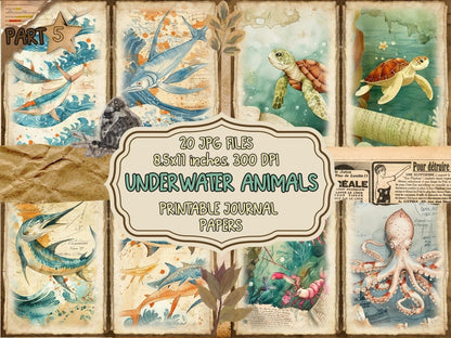 Underwater Animals Journal Pages (P5) Aquatic Scrapbook - Wonders Artist