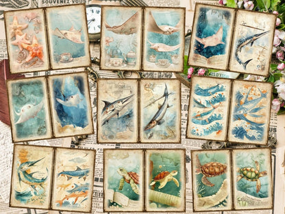 Underwater Animals Journal Pages (P5) Aquatic Scrapbook - Wonders Artist