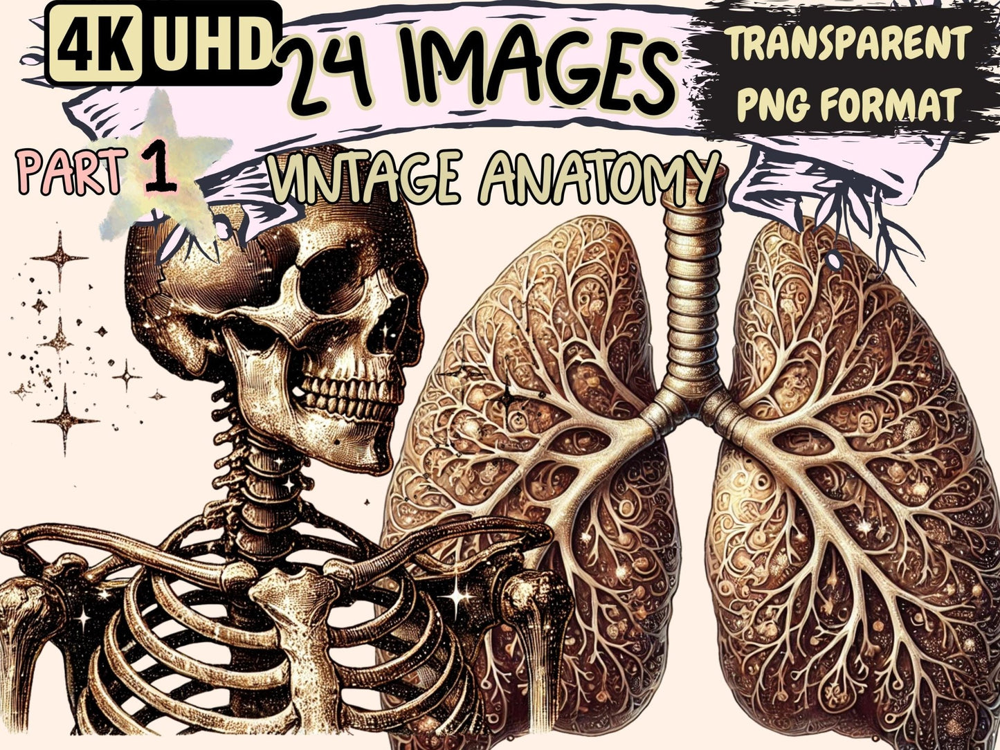 Vintage Anatomy Clipart - High - Quality Instant Digital Download for Creative Projects