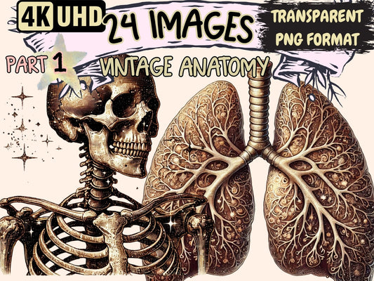 Vintage Anatomy Clipart - High - Quality Instant Digital Download for Creative Projects